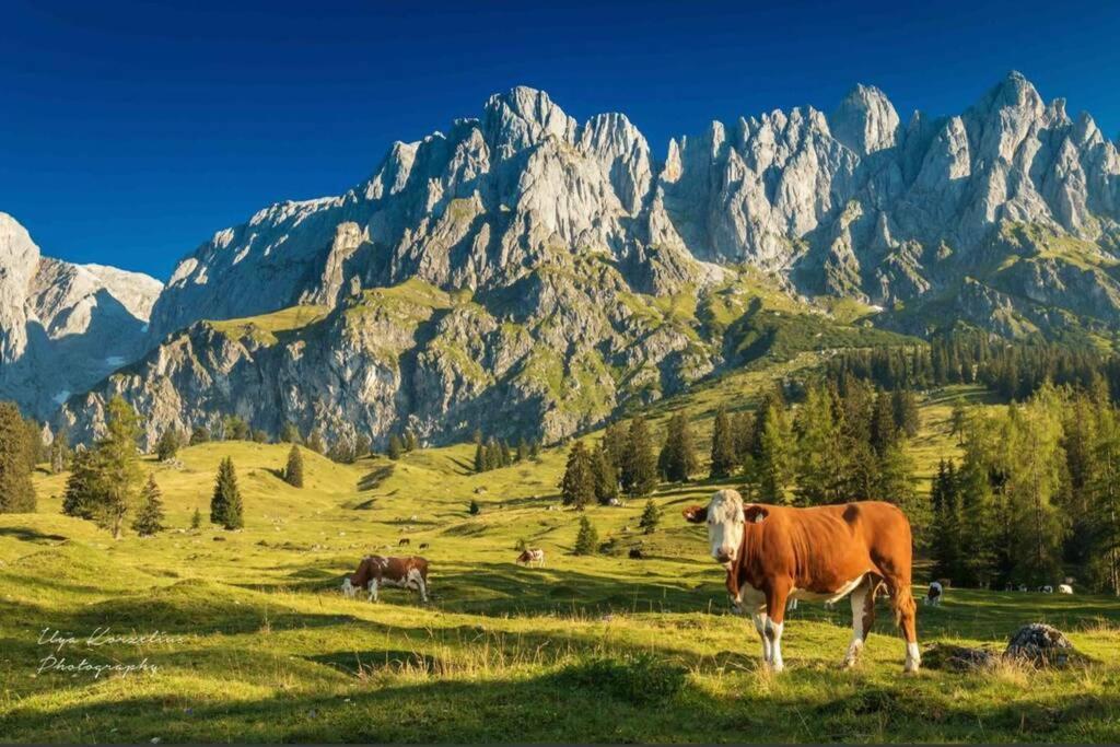 Hochkoenig Ferien Apartment Muhlbach Am Hochkonig Bagian luar foto