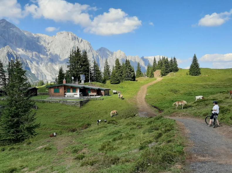 Hochkoenig Ferien Apartment Muhlbach Am Hochkonig Bagian luar foto